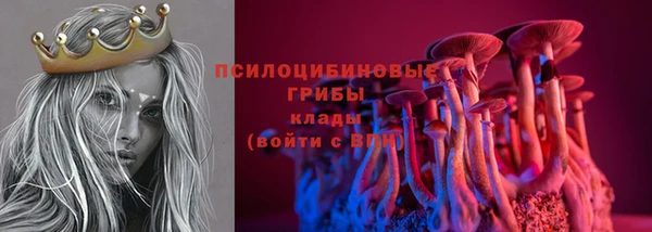 ПСИЛОЦИБИНОВЫЕ ГРИБЫ Арсеньев