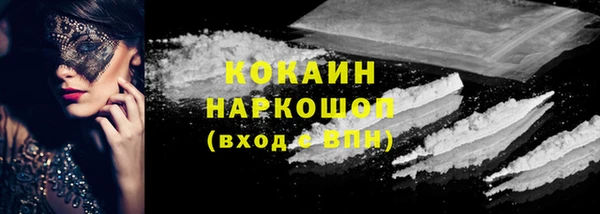 ПСИЛОЦИБИНОВЫЕ ГРИБЫ Арсеньев