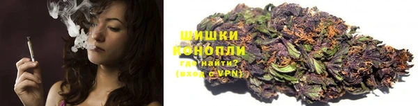 ПСИЛОЦИБИНОВЫЕ ГРИБЫ Арсеньев
