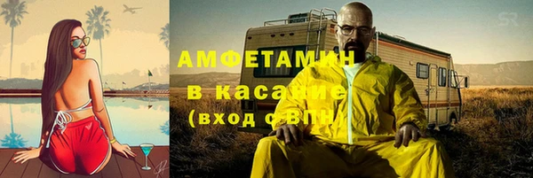 ПСИЛОЦИБИНОВЫЕ ГРИБЫ Арсеньев