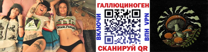 OMG как зайти  дарк нет какой сайт  Псилоцибиновые грибы прущие грибы  Сорочинск 